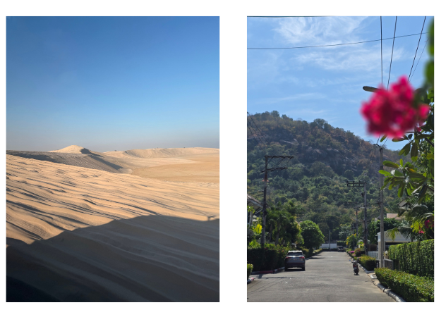 Untitled (200 x 200 px) (1)